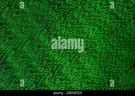 Abstract Geometric Lines with distorted green grid and green and blue gradient Composition Stock Photo