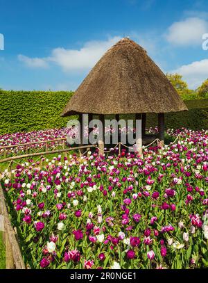 Arundel Castle gardens. Stock Photo