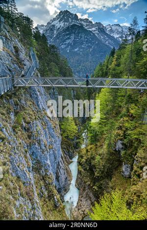 Person while hiking stands on suspension bridge over the Leutasch, Leutaschklamm, Geisterklamm, Wetterstein Mountains, Tyrol, Austria Stock Photo