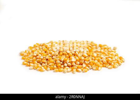 A heap of corn kernels on a white background with copy space Stock Photo