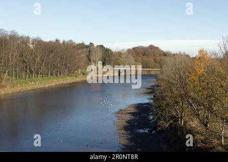 The Lancaster Canal Tramroad Bridge crossing the River Ribble at Preston Lancashire England Stock Photo