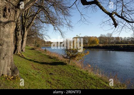 The Lancaster Canal Tramroad Bridge crossing the River Ribble at Preston Lancashire England Stock Photo