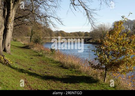 The Lancaster Canal Tramroad Bridge crossing the River Ribble at Preston Lancashire England Stock Photo