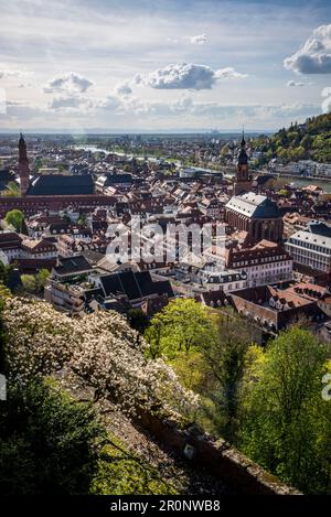 View of the Old town and the spire of the Church of the Holy Spirit from the castle 'Balcony', Heidelberg, Germany Stock Photo