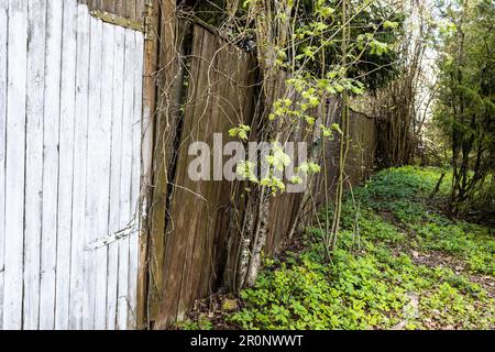 painted wooden gate and rickety wooden fence of village area Stock Photo