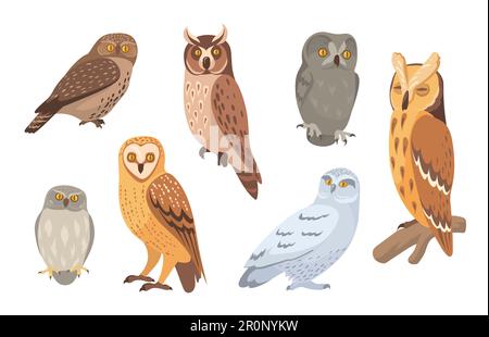 Owl species set Stock Vector