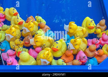 Fishing Rubber Ducks in Pool Amusement Park Kids Game Top View Stock Photo  - Alamy