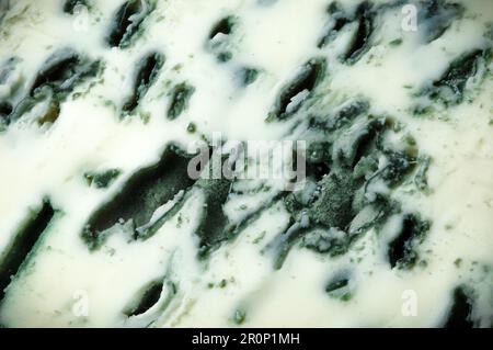 Blue cheese macro, penicilium from a french traditional cheese Stock Photo