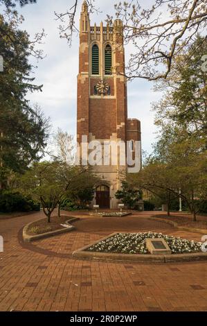 Beaumont Tower on the campus of Michigan State University in East Lansing Stock Photo