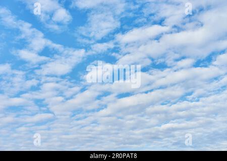 Fluffy cumulus clouds in the blue sky Stock Photo