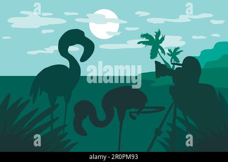 Photographer photographs flamingo in nature. Illustration with standing photo and video hunter with camera and two flamingos on tropical landscape wit Stock Vector