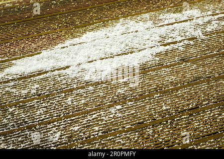 White hailstones on terrace boards in early spring, hail on the terrace Stock Photo