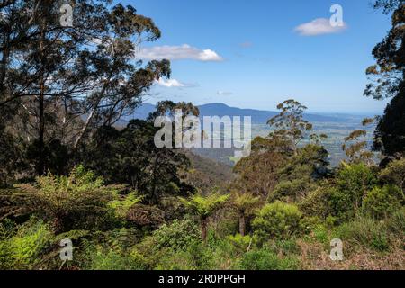 View from Pipers Lookout on the Snowy Mountains Highway, Brown Mountain, New South Wales, Australia Stock Photo