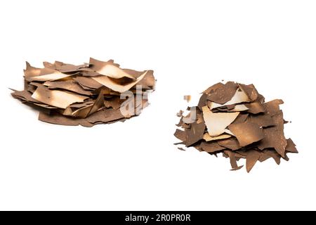 Burnt paper isolated on a white background. Copy space. Stock Photo