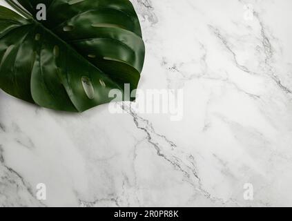 Top view of large green monstera leaf on white marble background. Tropical leaf and summer spa flat lay. Copy space. Stock Photo