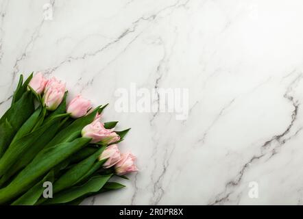 Top view of pink tulips on white marble background. Spring flowers flat lay. Copy space. Stock Photo