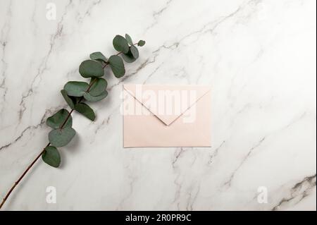 Top view of eucalyptus leaves and pink envelope on white marble background. Flat lay, copy space. Stock Photo