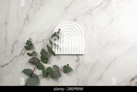 Top view of eucalyptus leaves and white arch tray on marble background. Abstract shape for cosmetic product presentation. Flat lay, copy space. Stock Photo