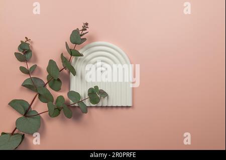 Top view of eucalyptus leaves and white arch tray on pink background. Geometric abstract shape for cosmetic product presentation, copy space. Stock Photo