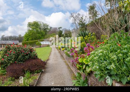 Plas Cadnant Hidden Gardens a beautiful garden in Menai Bridge, Anglesey, North Wales. Open to the public regularly it is full of interest. Stock Photo