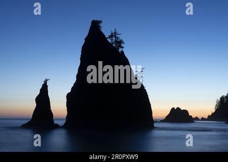 Sea stacks silhoetted against sunset, Rialto Beach, Olympic National Park, Washington, USA Stock Photo