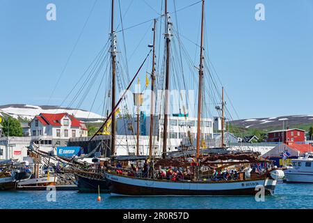 Old fishing boats are used for whale-watching, harbour of Husavik, Husavik, Iceland Stock Photo