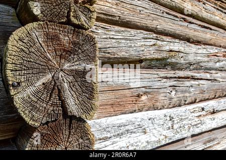 Old wooden logs with natural patterns as background, wooden logs texture. Wall of round wooden logs Stock Photo