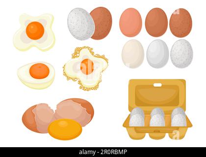 Set of eggs in raw, boiled and fried forms Stock Vector