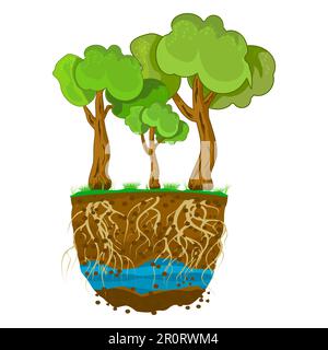 Tree root system, underground growing plants stems. Branched roots ...