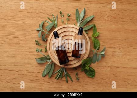 Flat lay composition with bottles of essential oils and fresh herbs Stock Photo