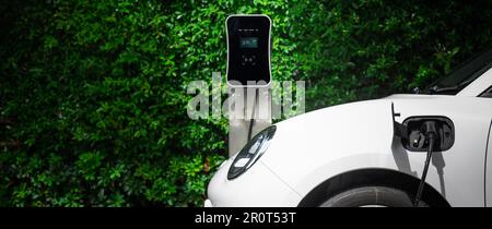 Side view of progressive electric vehicle parking next to public charging station with greenery, natural foliage background as concept for renewable Stock Photo