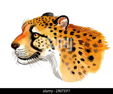 How to Draw a Cheetah's Head (Big Cats) Step by Step |  DrawingTutorials101.com
