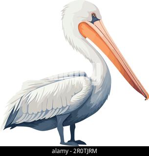 Pelican flying over tropical blue waters isolated Stock Vector