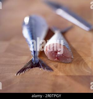 Mackerel Stock Photo