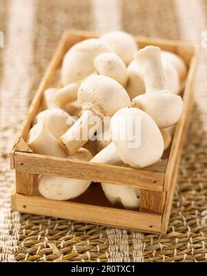 Mini crate of button mushrooms Stock Photo