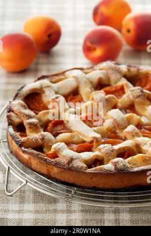 Apricot pie Stock Photo