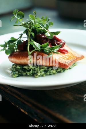 Pan-fried salmon ,herb risotto ,cress and beetroot Stock Photo