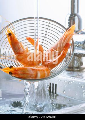 Rinsing shrimps in the sink Stock Photo