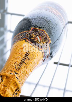 A bottle of champagne in the refrigerator Stock Photo