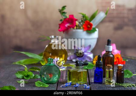 Various essential oils in vials surrounded by medicinal plants and flowers Stock Photo