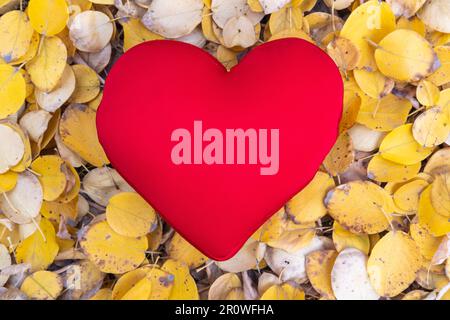 Red pillow in the shape of a heart on bright yellow leaves in the forest. Autumn mood. Seasonal depression. Stock Photo