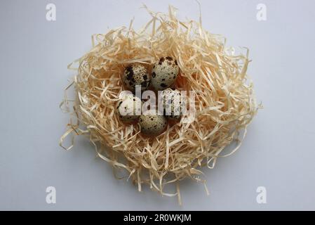 Five Spotted Eggs In A Hay Nest On A White Surface Top View Stock Photo