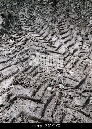 Close-up of deep tractor tire tracks in wet mud, showing heavy vehicle tread marks, rough soil texture and an agricultural or construction ground surf Stock Photo