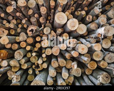 Stacked cut wooden logs viewed from the end, showing circular tree rings, natural wood texture and forestry timber background. Stock Photo