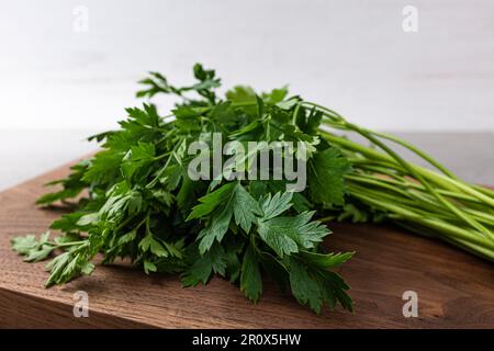 Flat-leaved, fragrant herb Italian parsley Stock Photo