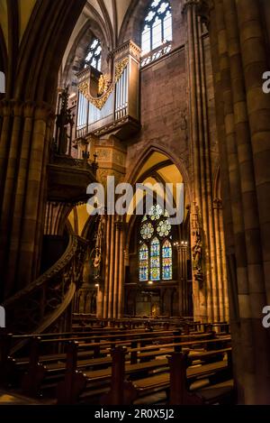 Freiburg Münster medieval cathedral, Old Town, Freiburg im Breisgau, Baden-Württemberg, Germany Stock Photo