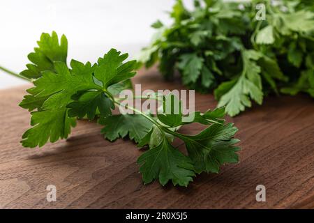 Flat-leaved, fragrant herb Italian parsley Stock Photo