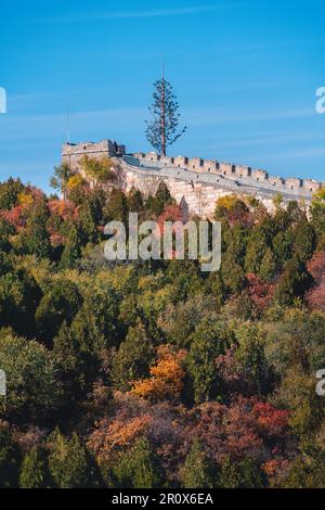 An aerial view of the Great Wall of China surrounded by lush greenery and bright yellow trees Stock Photo