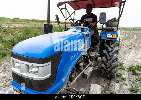 Male driver operating tractor. A Young man driving on a tractor in the field Stock Photo