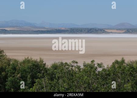 Madrid. 8th May, 2023. This photo taken on May 8, 2023 shows a dried lake in Malaga, Spain. Spain has been hit by days of heat wave and drought. Credit: Meng Dingbo/Xinhua/Alamy Live News Stock Photo